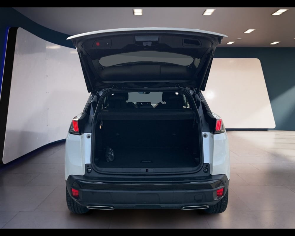 Peugeot 3008 usata a Torino (14)