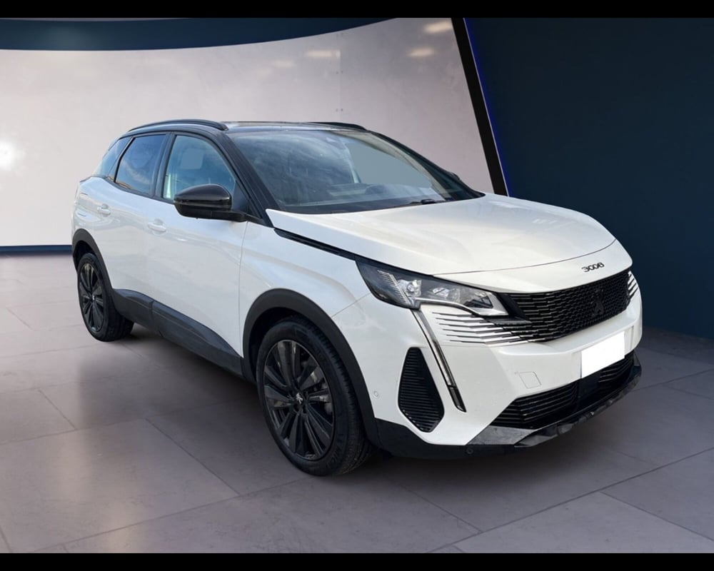 Peugeot 3008 usata a Torino (8)