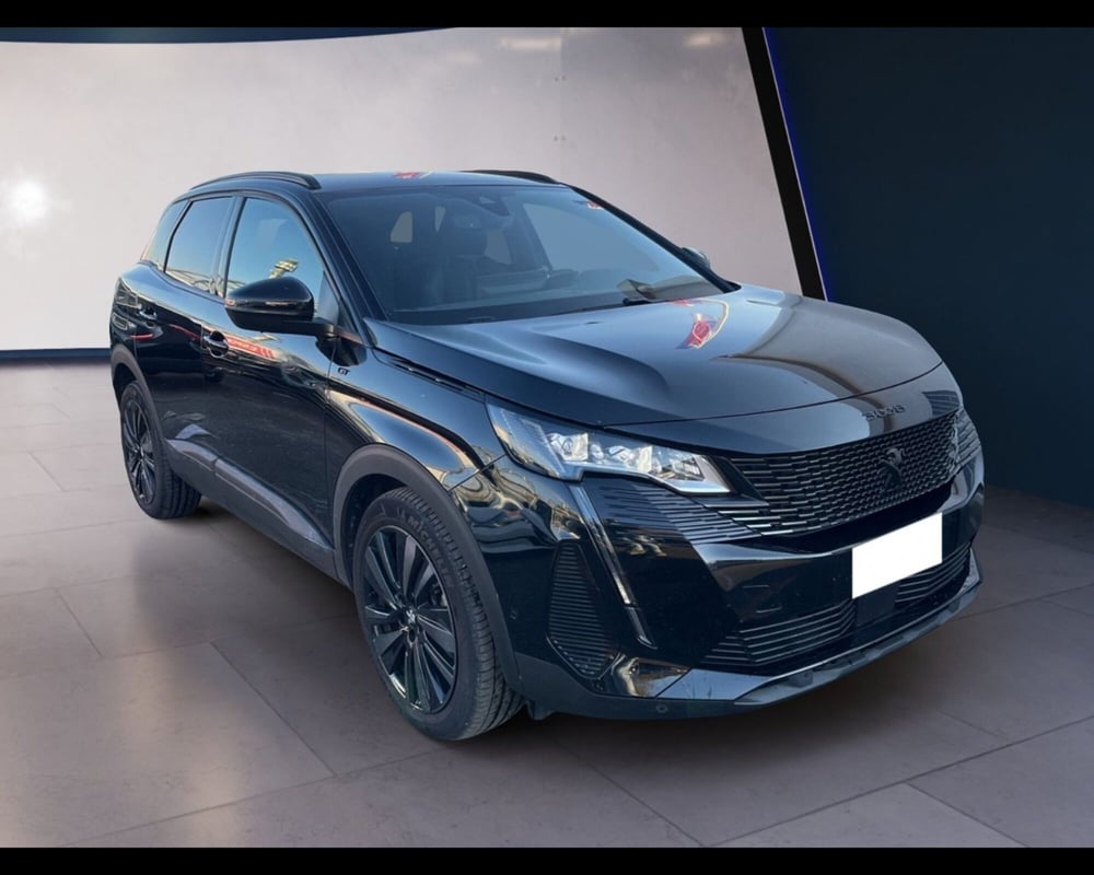 Peugeot 3008 usata a Torino (9)