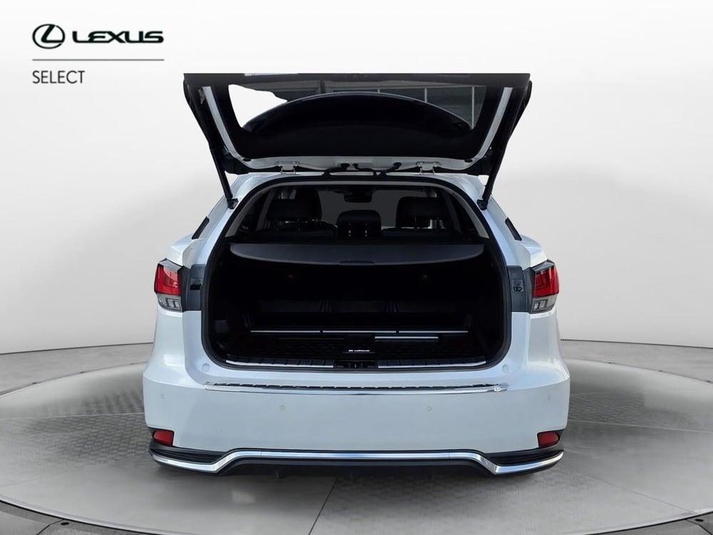 Lexus RX usata a Cremona (6)