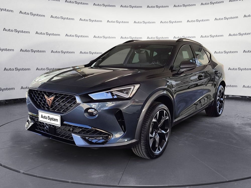 Cupra Formentor usata a Palermo