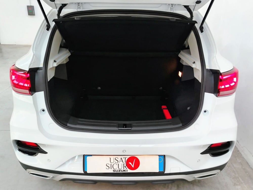 Mg ZS usata a Rovigo (10)