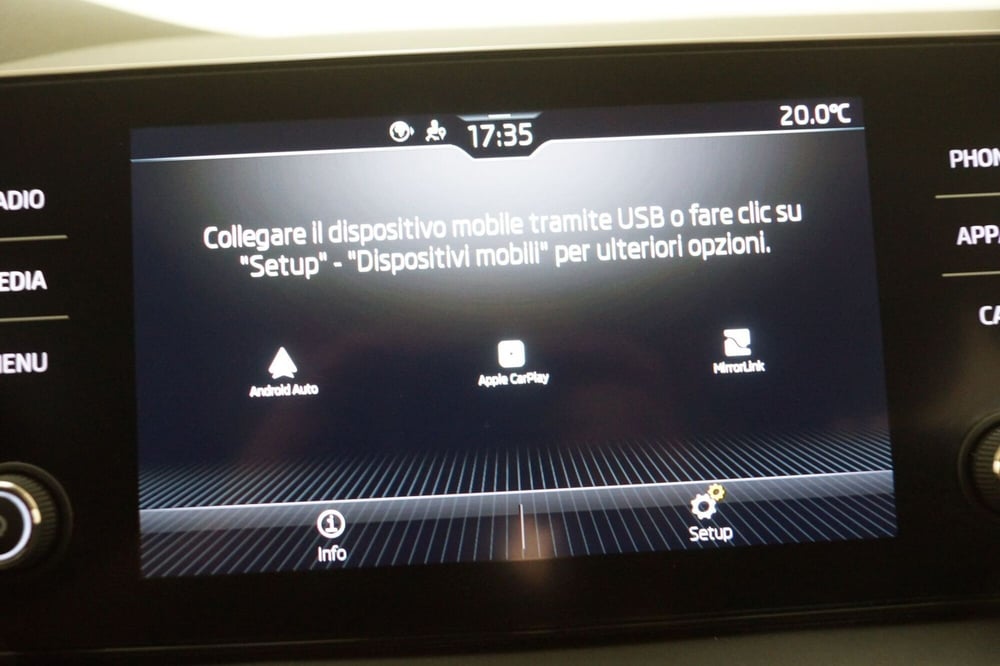 Skoda Kamiq usata a Torino (19)