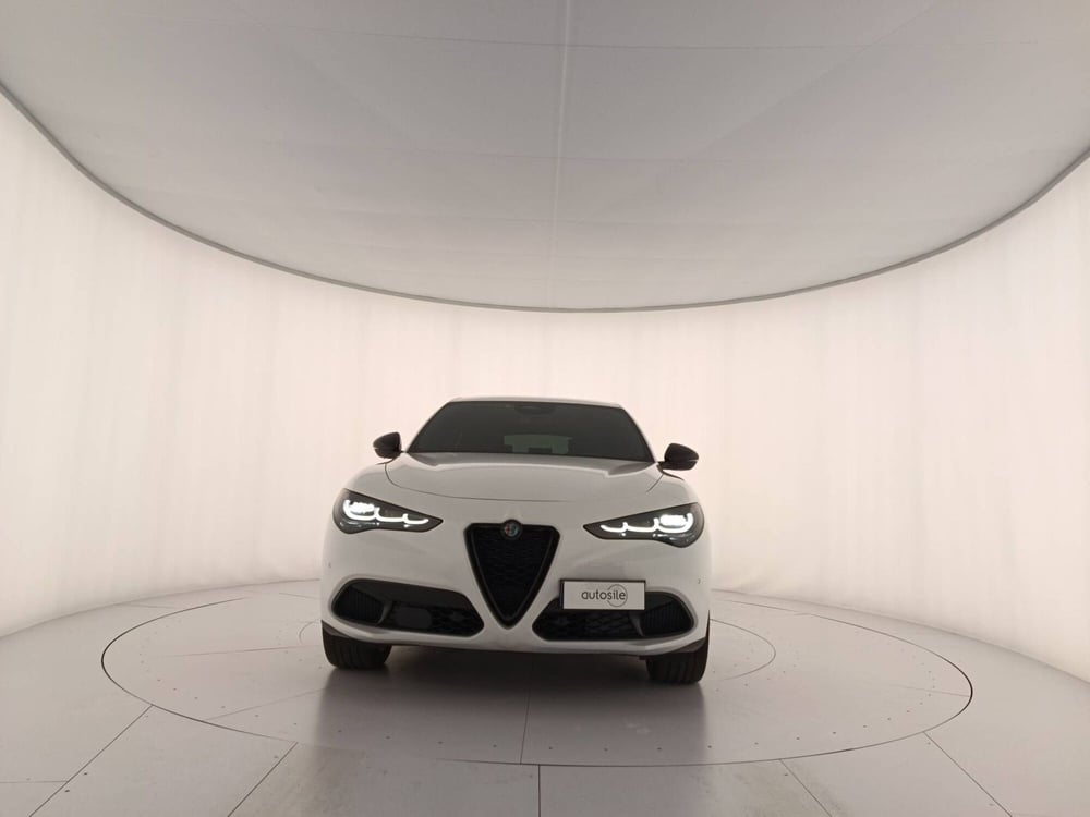 Alfa Romeo Stelvio usata a Treviso (2)