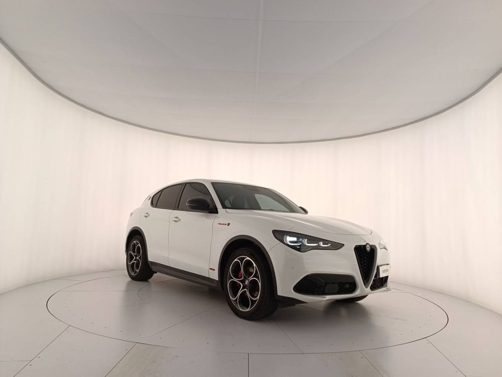 Alfa Romeo Stelvio usata a Treviso (3)