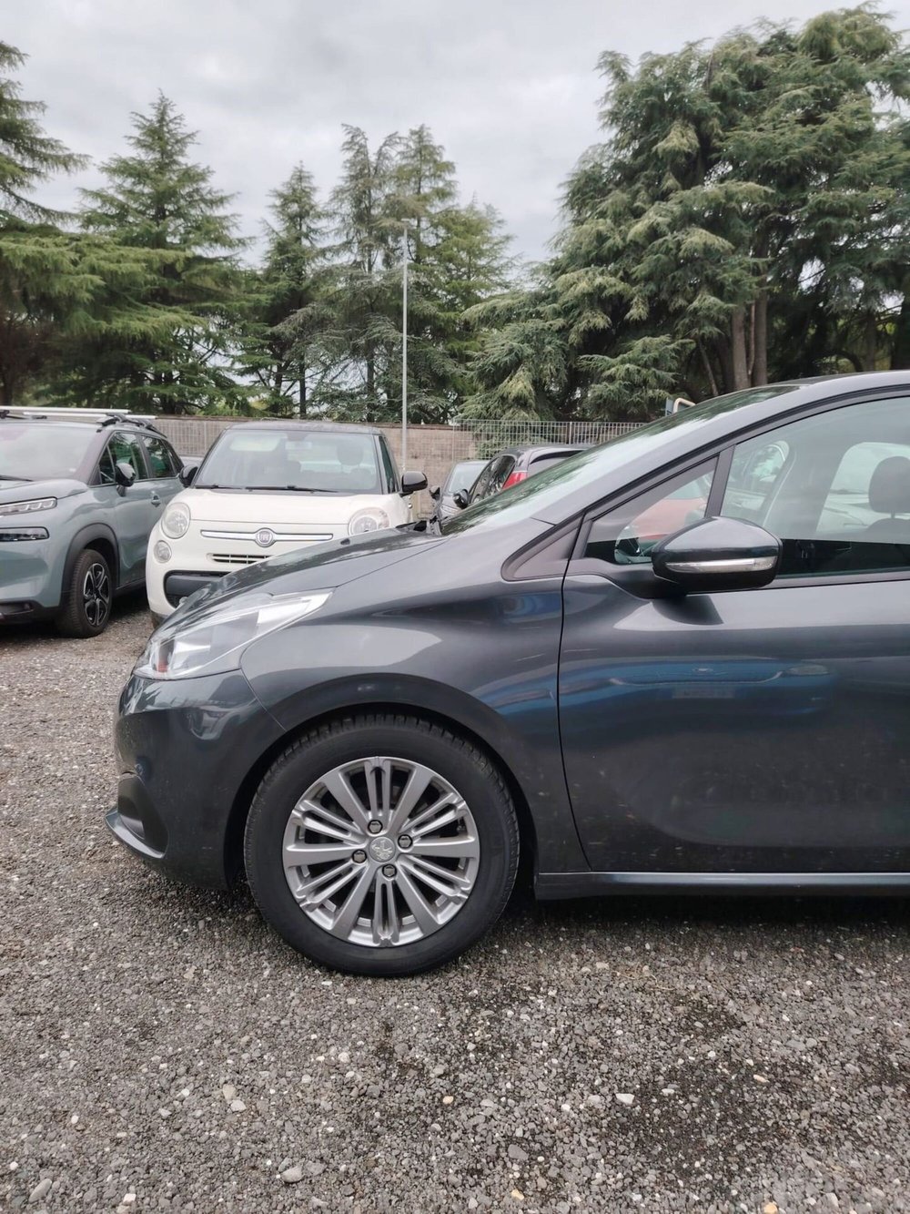 Peugeot 208 usata a Massa-Carrara (18)