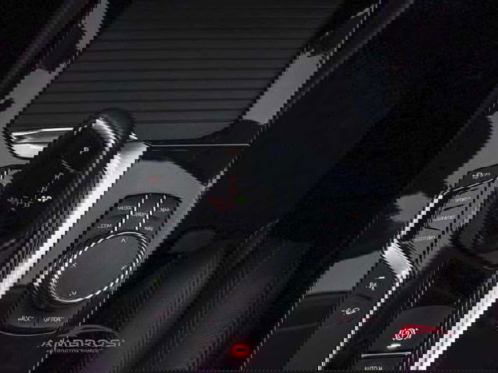 BMW X4 usata a Perugia (20)