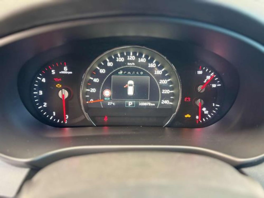 Kia Sorento usata a Pesaro-Urbino (10)