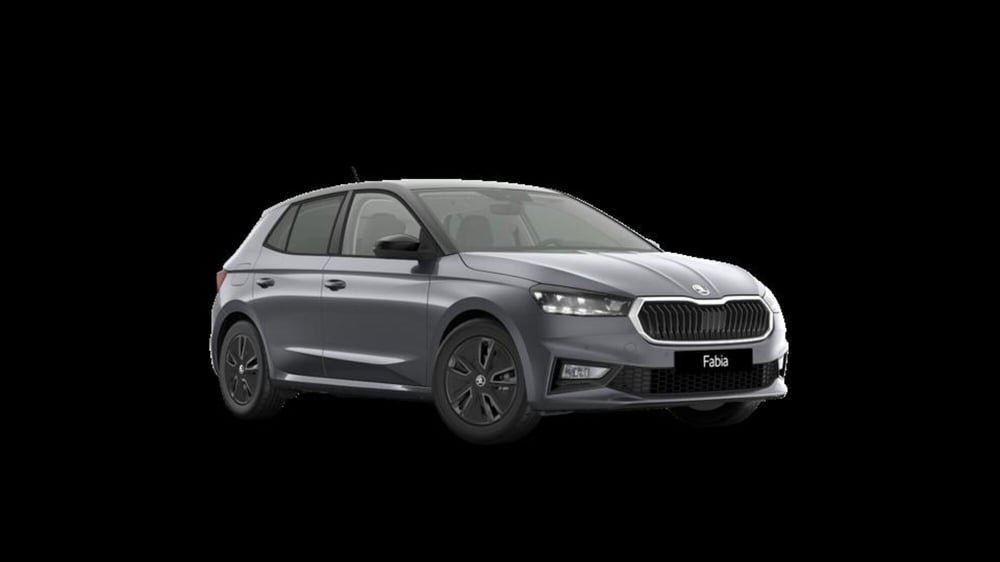 Skoda Fabia nuova a Padova
