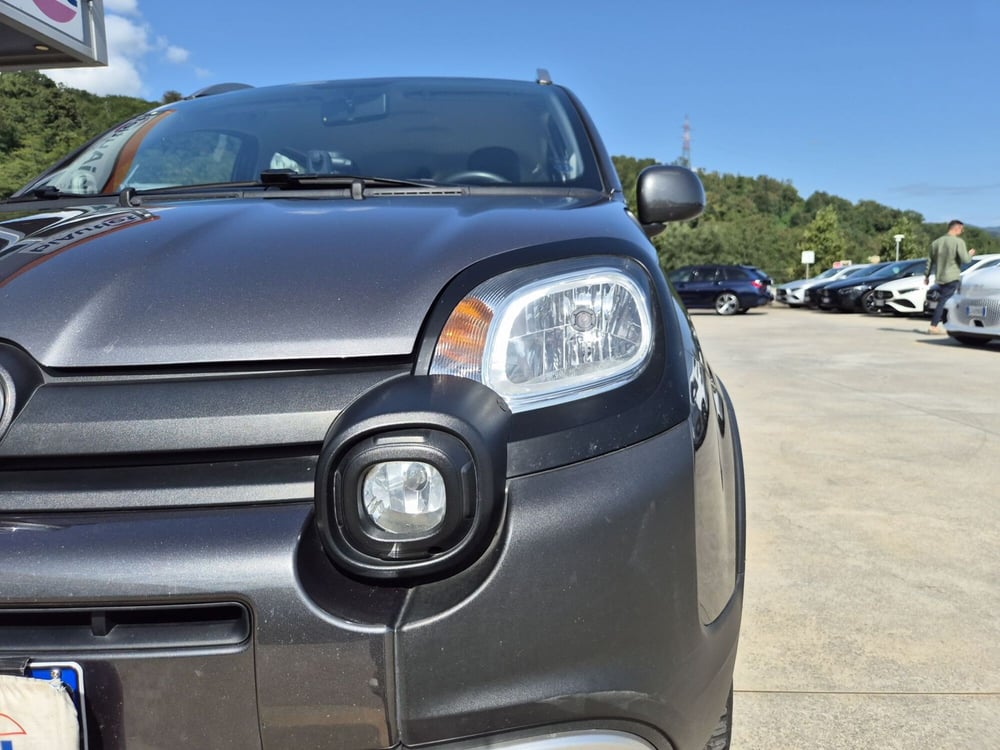 Fiat Panda usata  (14)