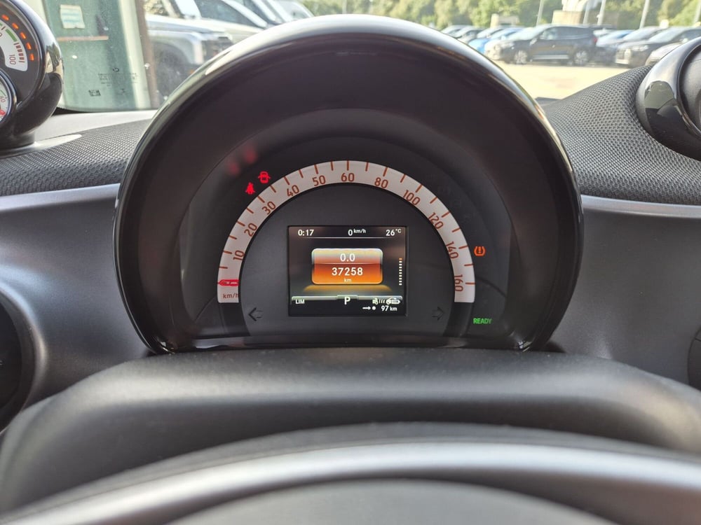 smart Fortwo usata  (12)