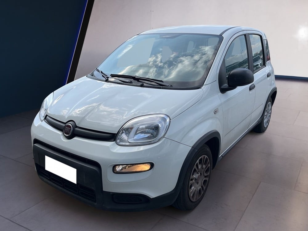 Fiat Panda usata a Torino (2)