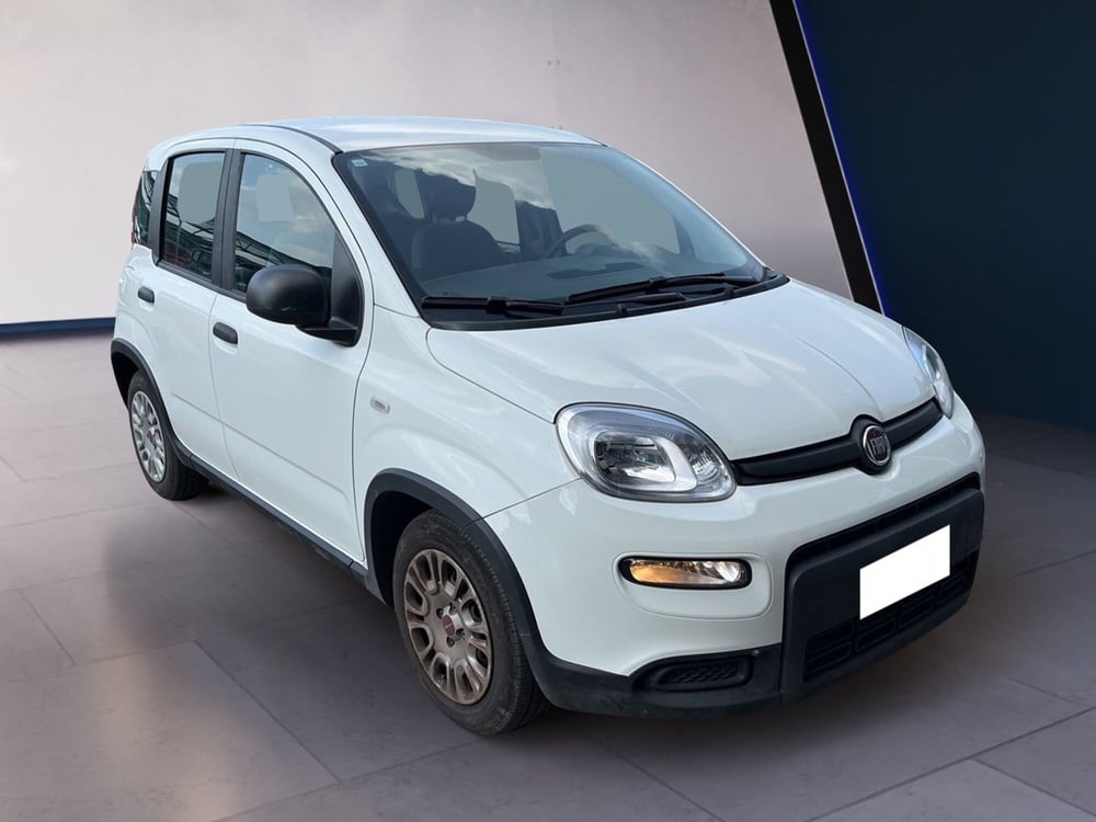 Fiat Panda usata a Torino (3)