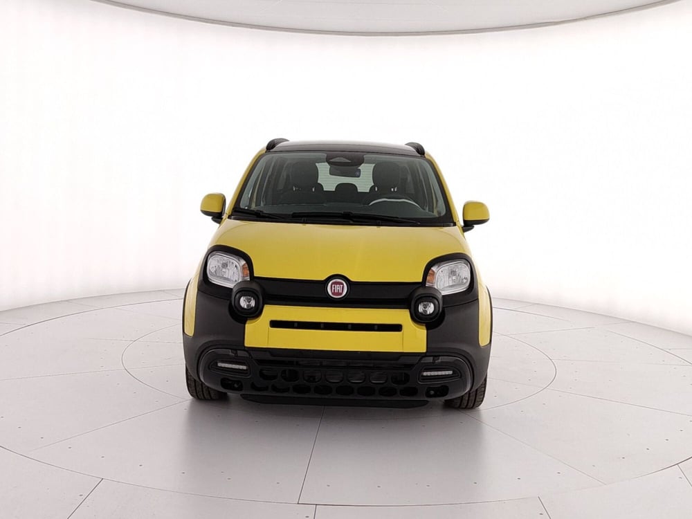 Fiat Panda Cross nuova a Caserta (2)