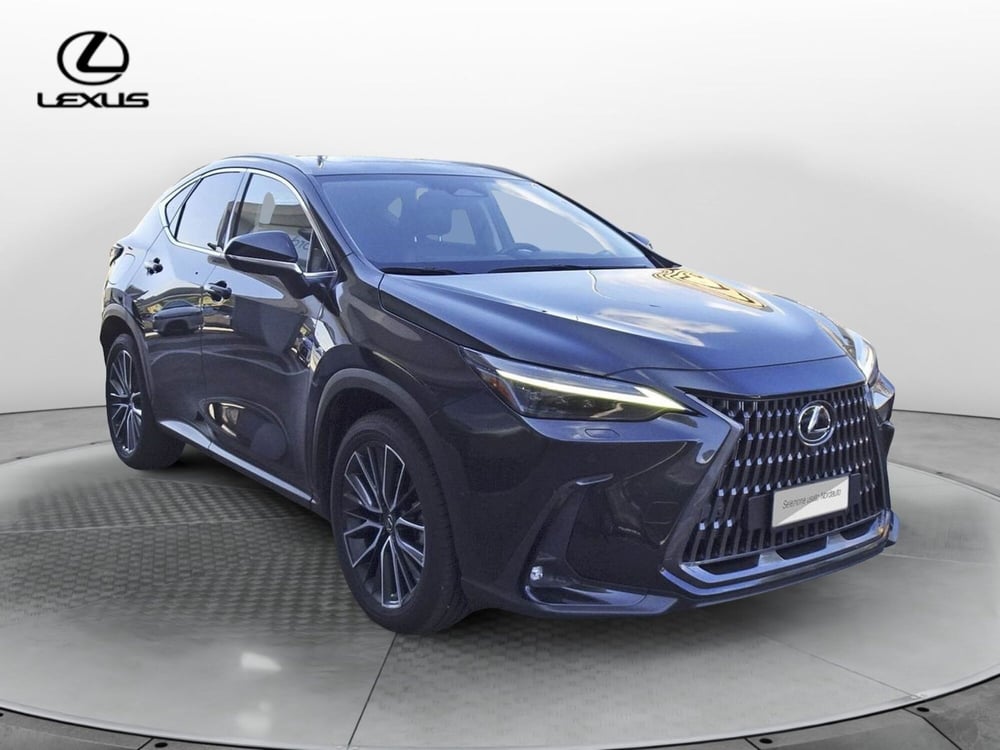 Lexus NX usata a Treviso (3)