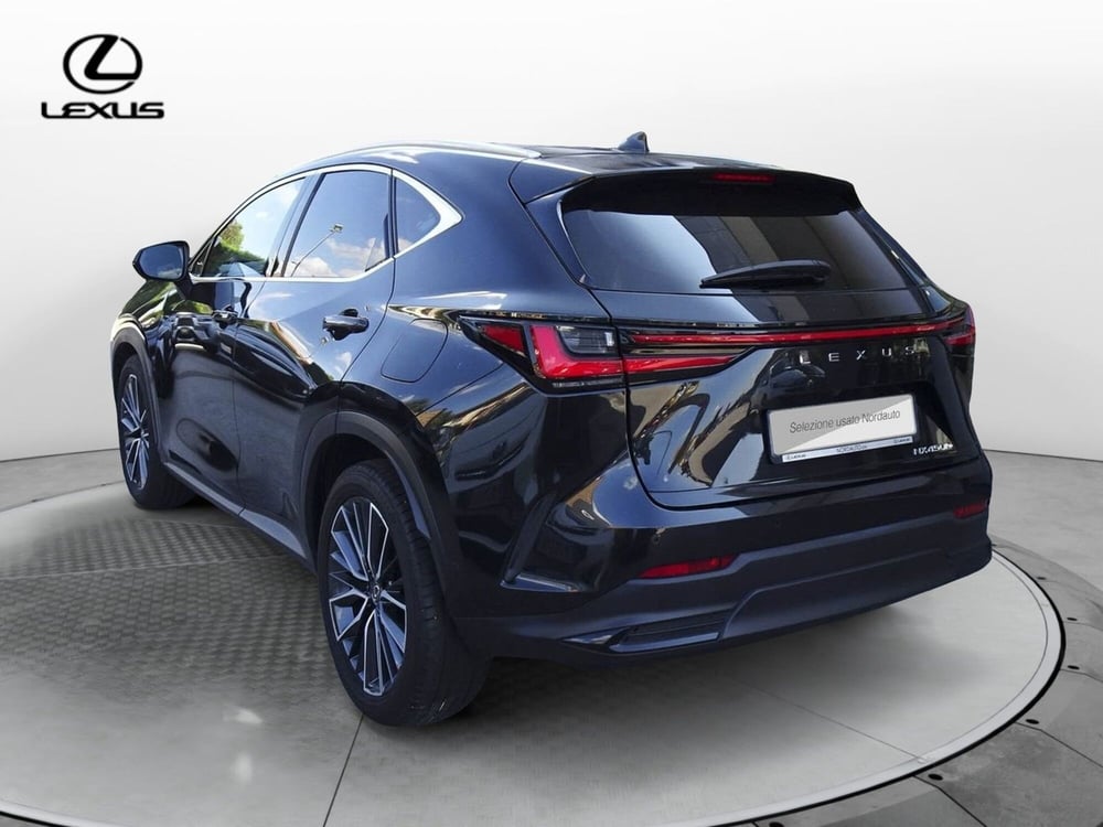 Lexus NX usata a Treviso (7)