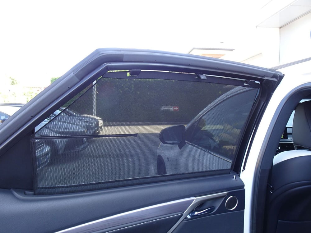 Lexus RX usata a Treviso (17)