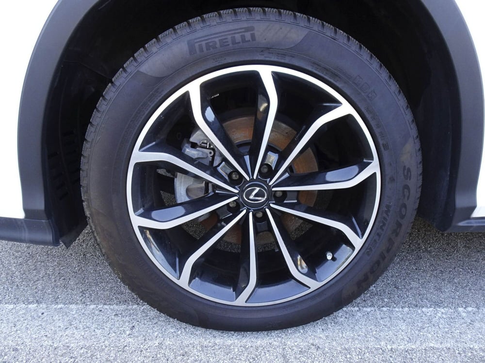 Lexus RX usata a Treviso (8)