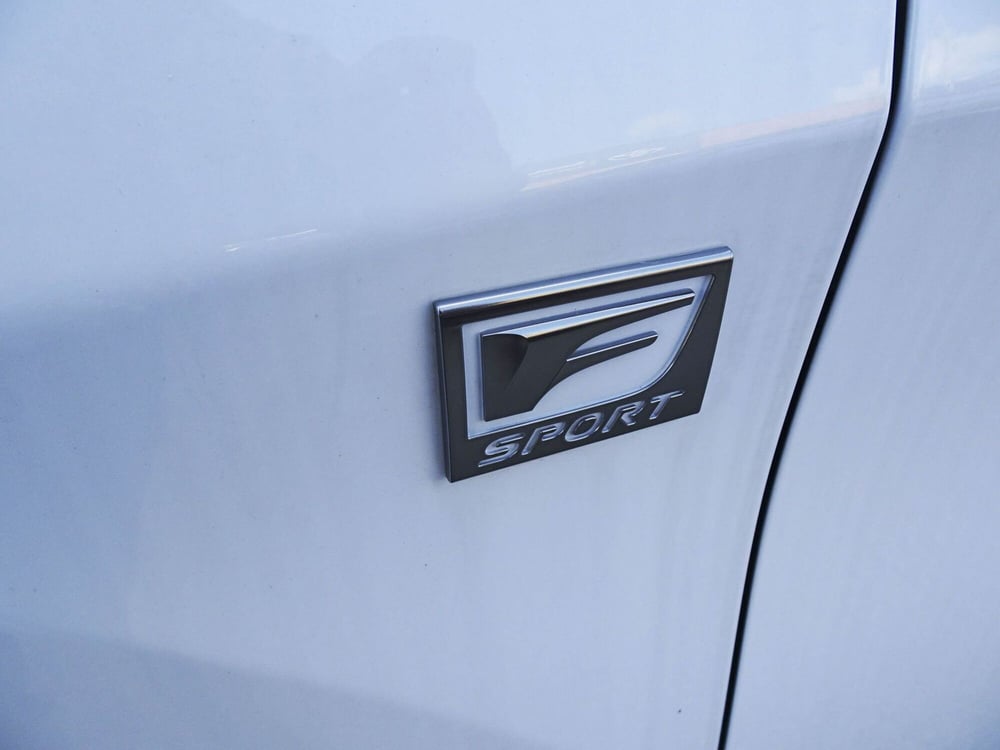 Lexus RX usata a Treviso (9)