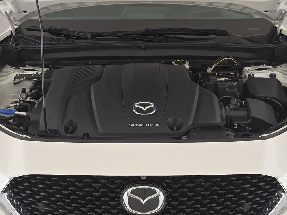 Mazda CX-30 usata a Alessandria (8)