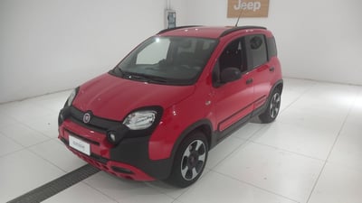 Fiat Panda 1.2 City Cross del 2019 usata a Montebelluna