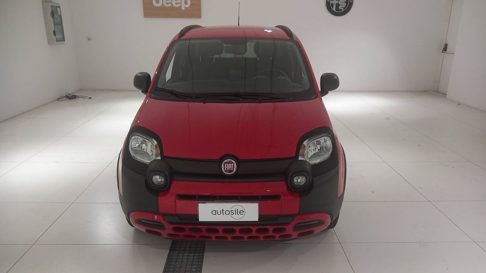 Fiat Panda usata a Treviso (2)