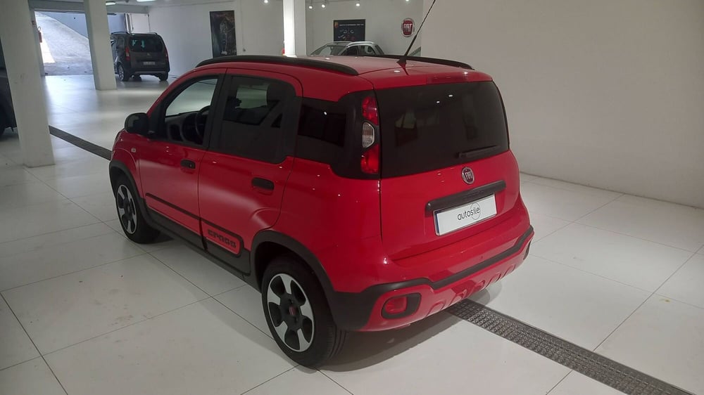 Fiat Panda usata a Treviso (4)