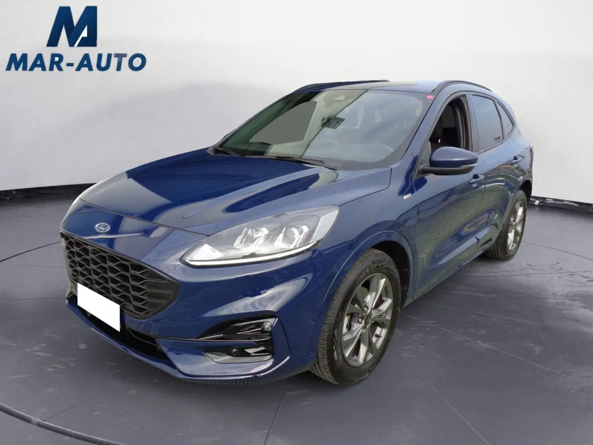 Ford Kuga usata a Treviso