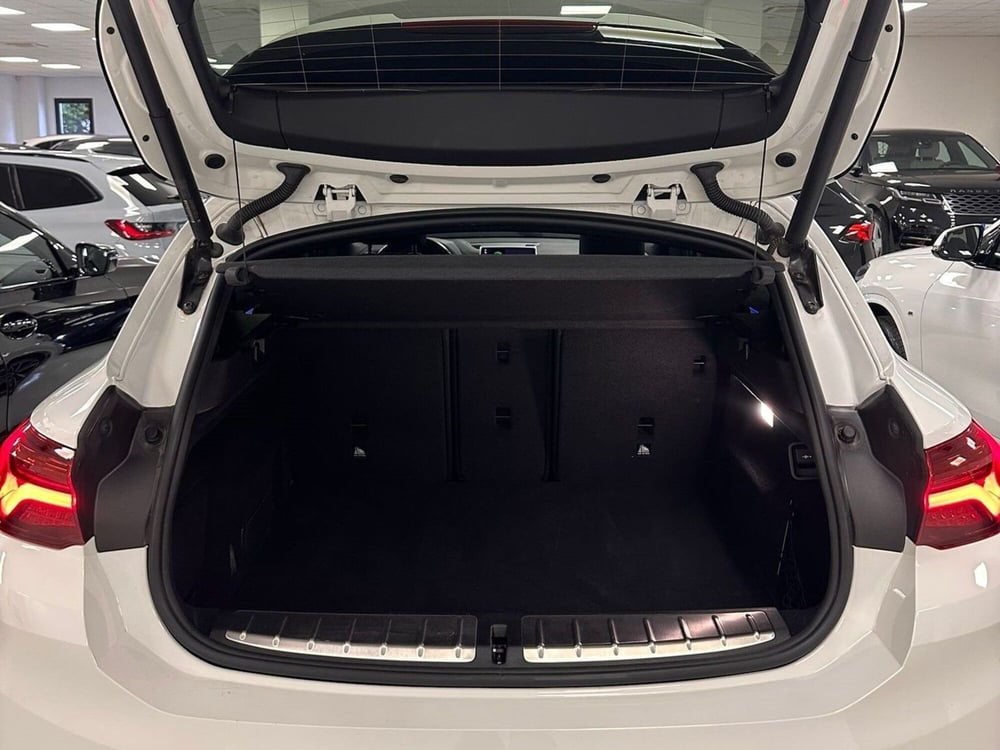 BMW X2 usata a Cuneo (11)