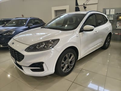 Ford Kuga 1.5 EcoBlue 120 CV aut. 2WD ST-Line X del 2022 usata a Caresanablot
