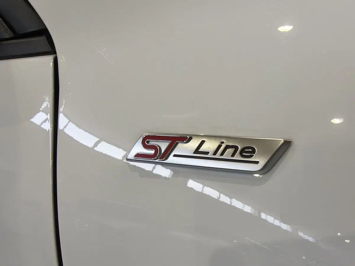 Ford Kuga usata a Vercelli (18)