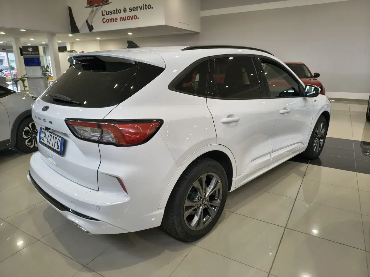 Ford Kuga usata a Vercelli (3)