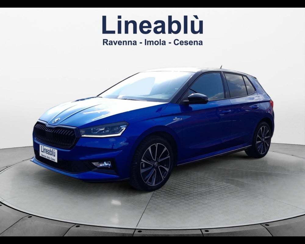 Skoda Fabia usata a Ravenna