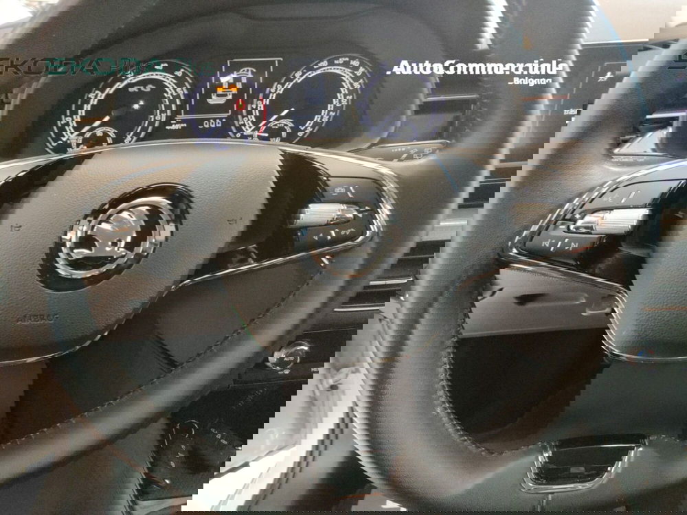 Skoda Kamiq usata a Bologna (10)