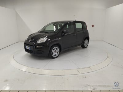 Fiat Panda 1.2 EasyPower del 2024 usata a Catanzaro
