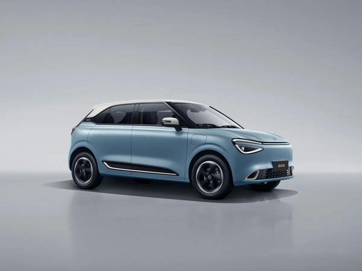 Dongfeng Box  nuova a Caserta