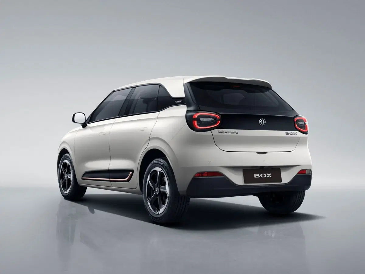 Dongfeng Box  nuova a Caserta (2)