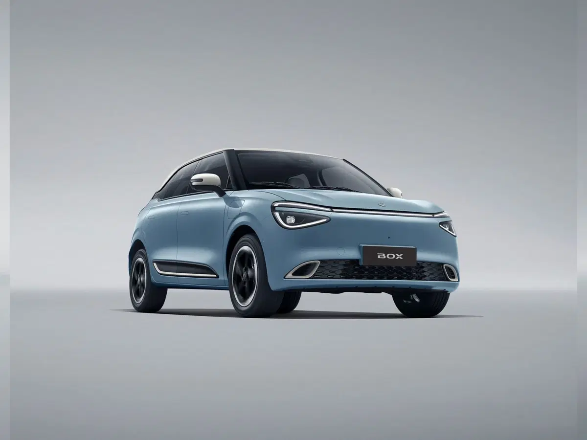 Dongfeng Box  nuova a Caserta (3)