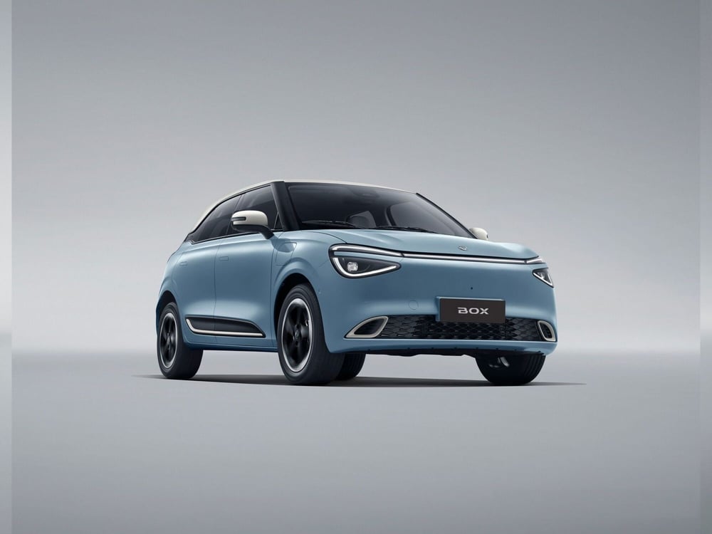 Dongfeng Box nuova a Caserta (3)
