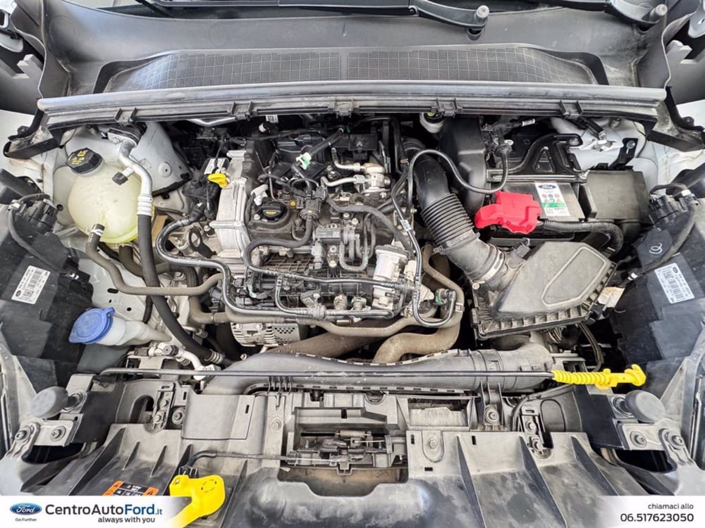 Ford Puma usata a Roma (12)