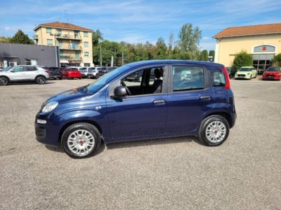 Fiat Panda 1.2 Easy del 2021 usata a Bologna