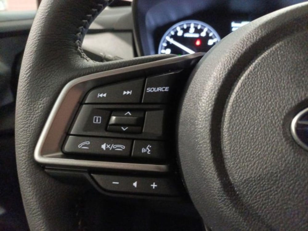 Subaru Crosstrek nuova a Novara (10)