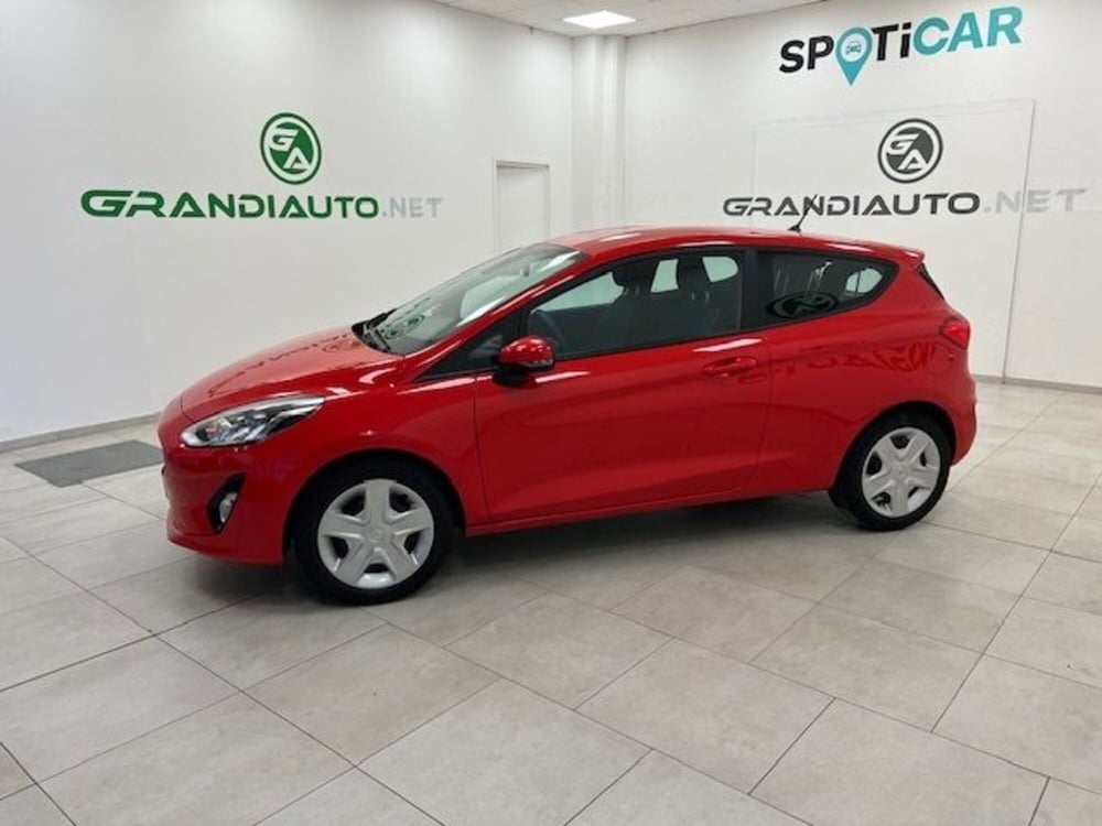 Ford Fiesta usata a Alessandria (2)