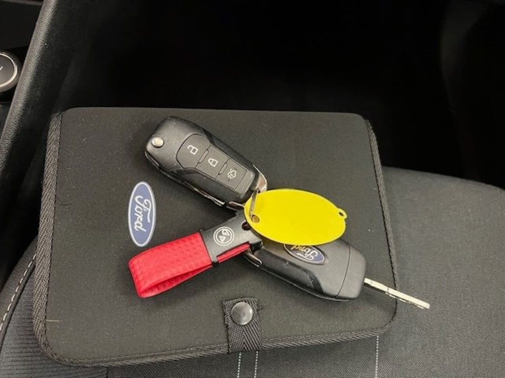 Ford Fiesta usata a Alessandria (20)