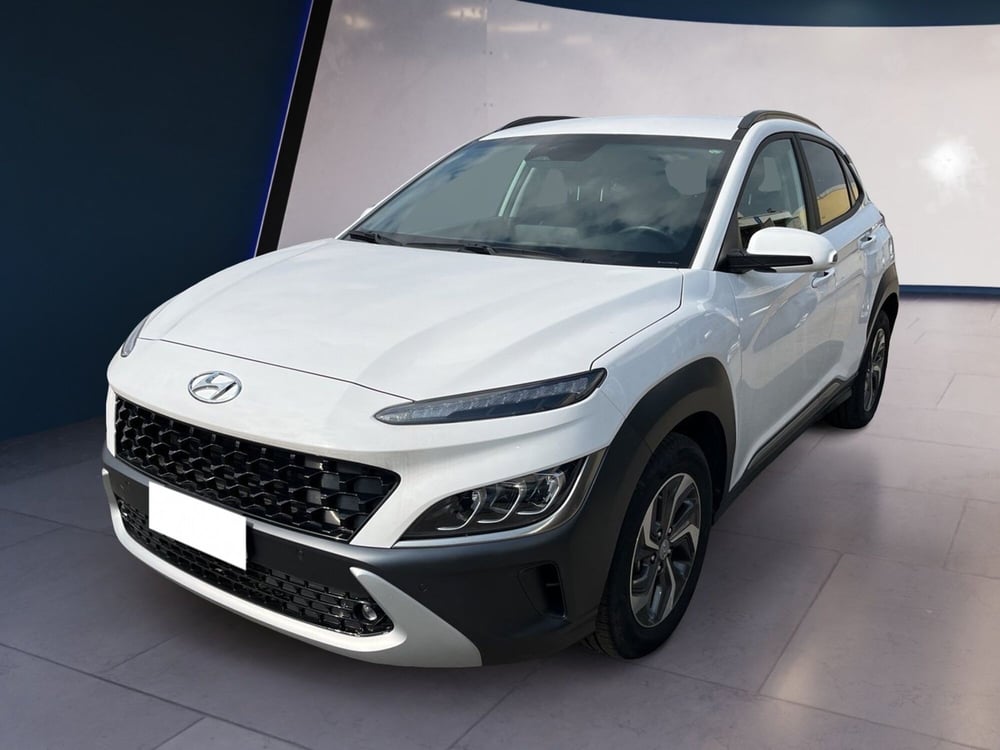Hyundai Kona usata a Torino (2)