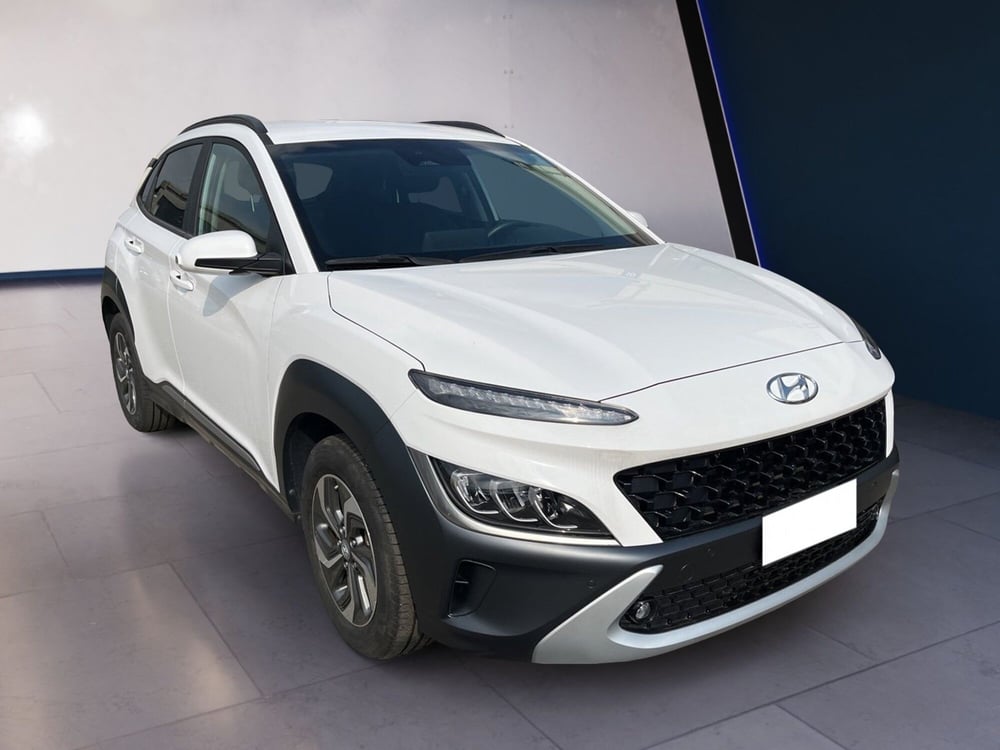 Hyundai Kona usata a Torino (3)
