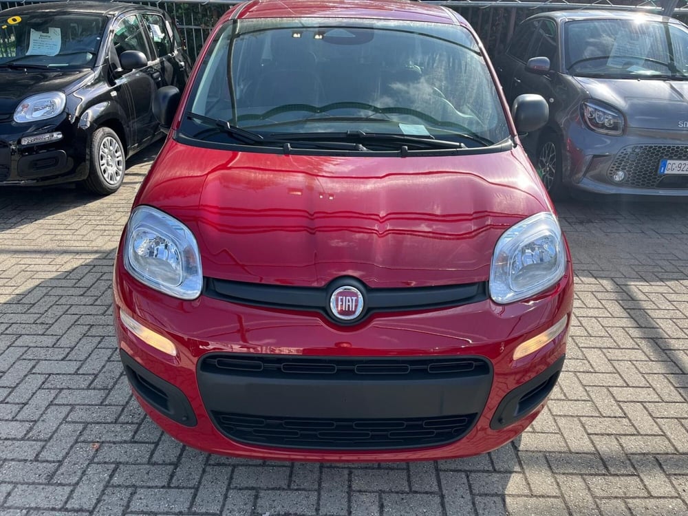 Fiat Panda Cross nuova a Milano (2)