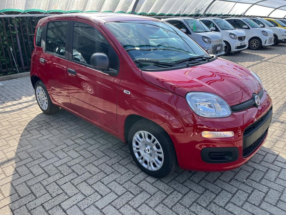 Fiat Panda Cross nuova a Milano (3)