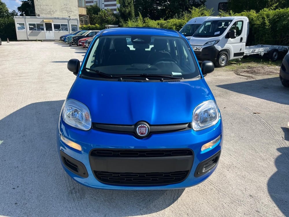 Fiat Panda Cross nuova a Milano (2)