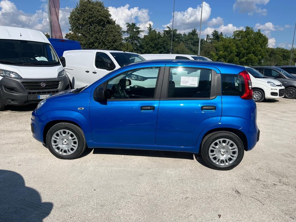 Fiat Panda Cross nuova a Milano (4)